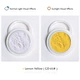 pigment solvent
